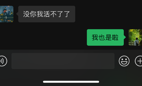 IMG_3201.PNG
